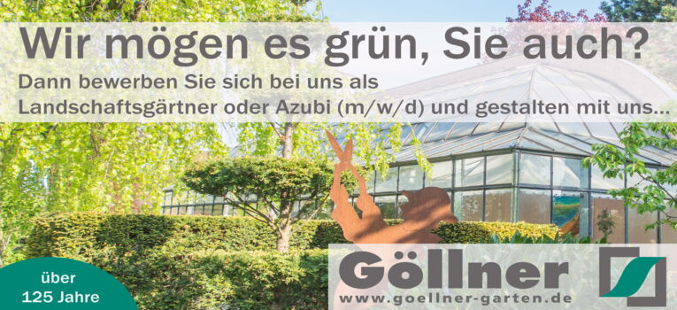 Bild Team Göllner