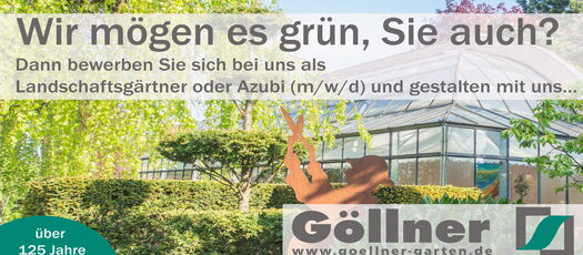 Bild vom Team-Göllner