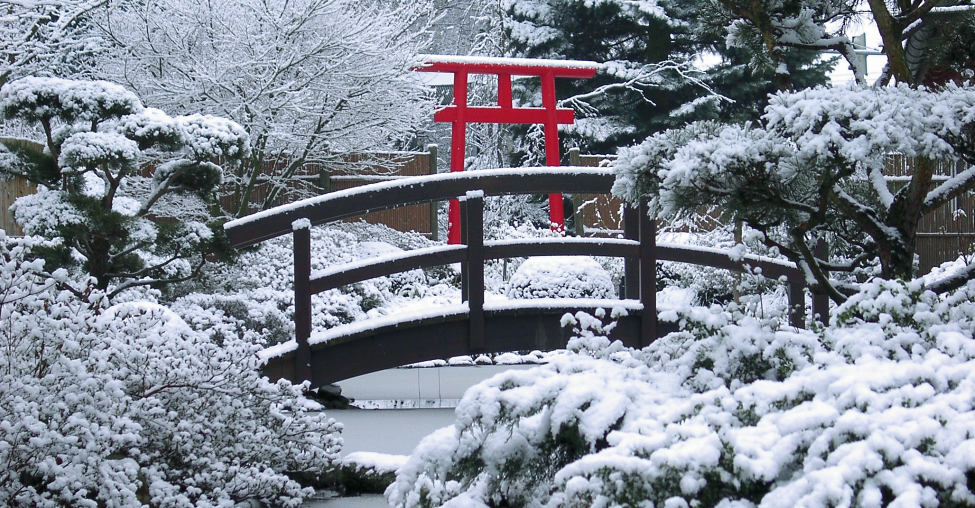 derjapanischegartenimwinter